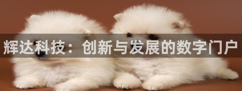 宁波市聚富电器有限公司