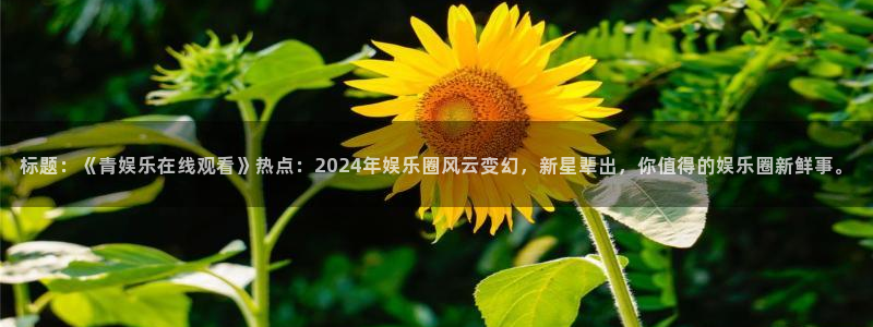 广州市聚富机电工程有限公司