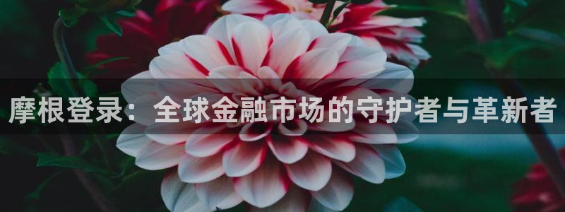 聚富ii