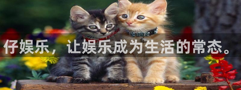 厦门聚富塑胶制品
