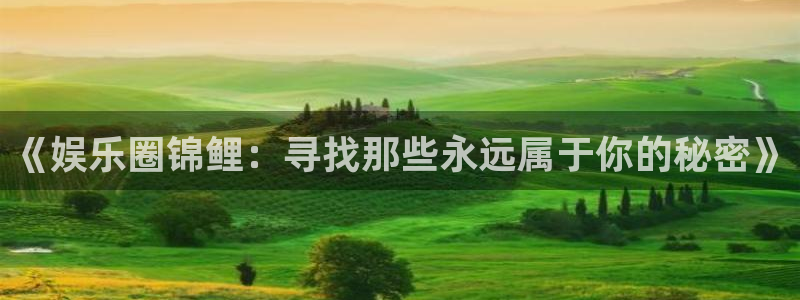 鼎盛聚富