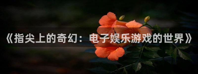 聚富宝