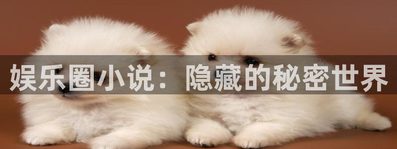 苏州瑞聚富精密五金有限公司：娱乐圈小说：隐藏的秘密世界