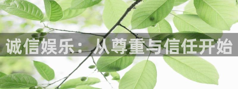 聚富汇