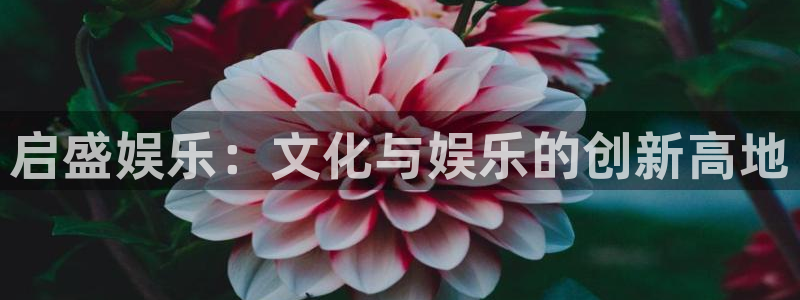 盖州聚富中央花园
