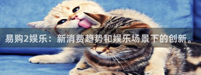 陕西聚富集团吴起豹