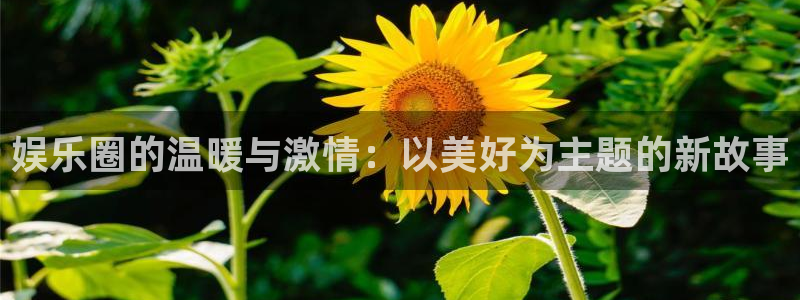 绵阳市聚富商贸有限公司：娱乐圈的温暖与激情：以美好为主题的新故事